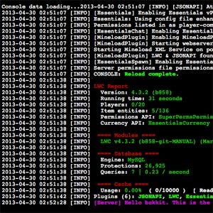 Minecraft server development camp - The console of a Minecraft server